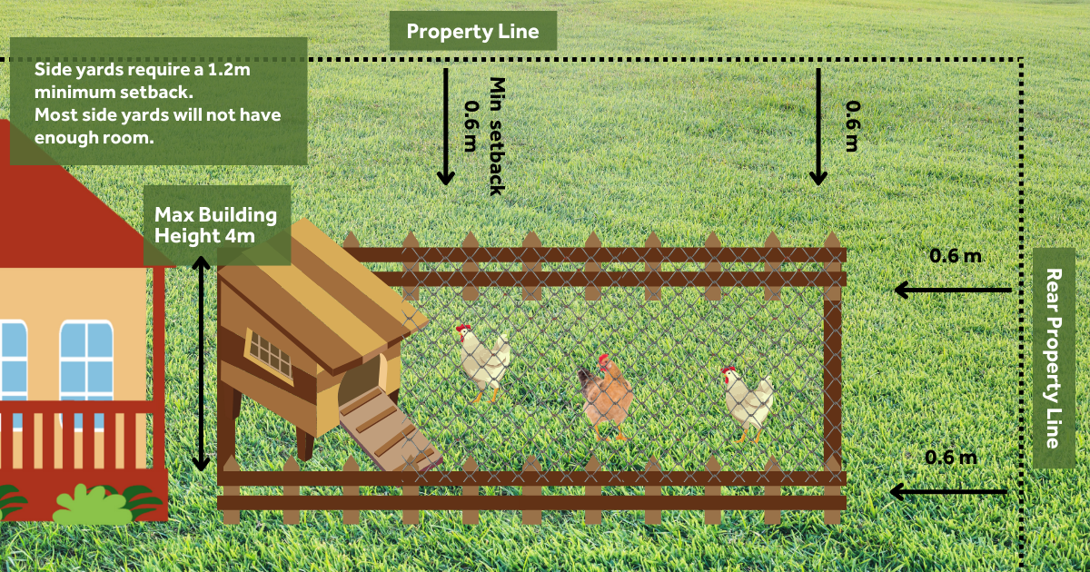 diagram of a yard with the appropriate setbacks labeled for a chicken coop. A setback of .6 meters is required from the property line.