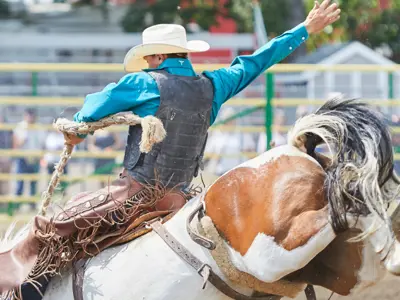 Picture of cowboy riding a horse at a rodeo competition.