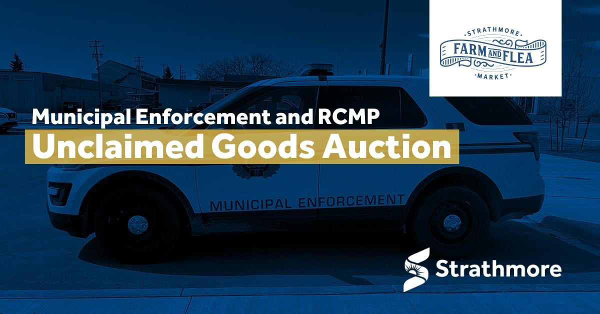Municipal Enforcement Vehicle